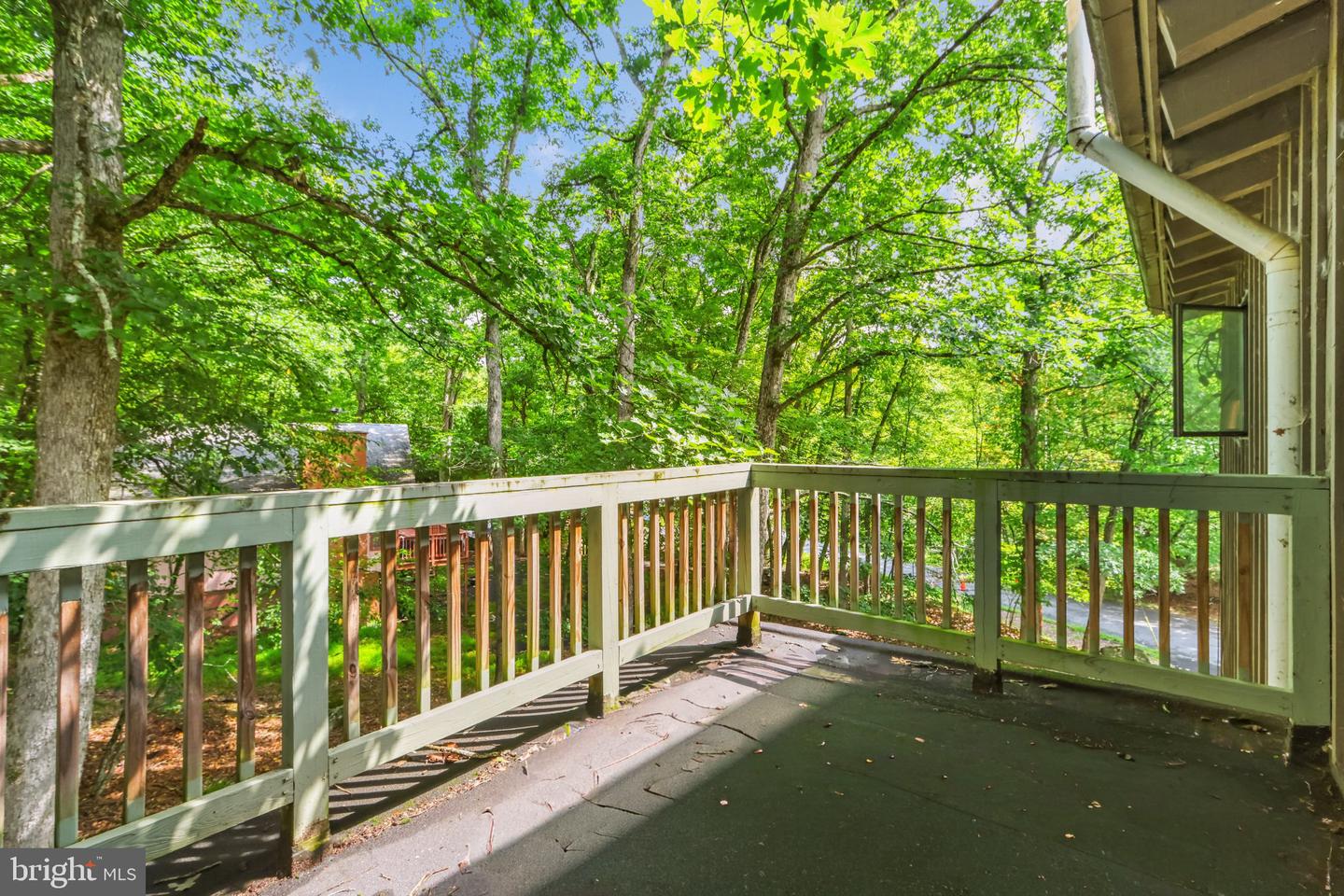 424 Saunders Dr Property Photo 20