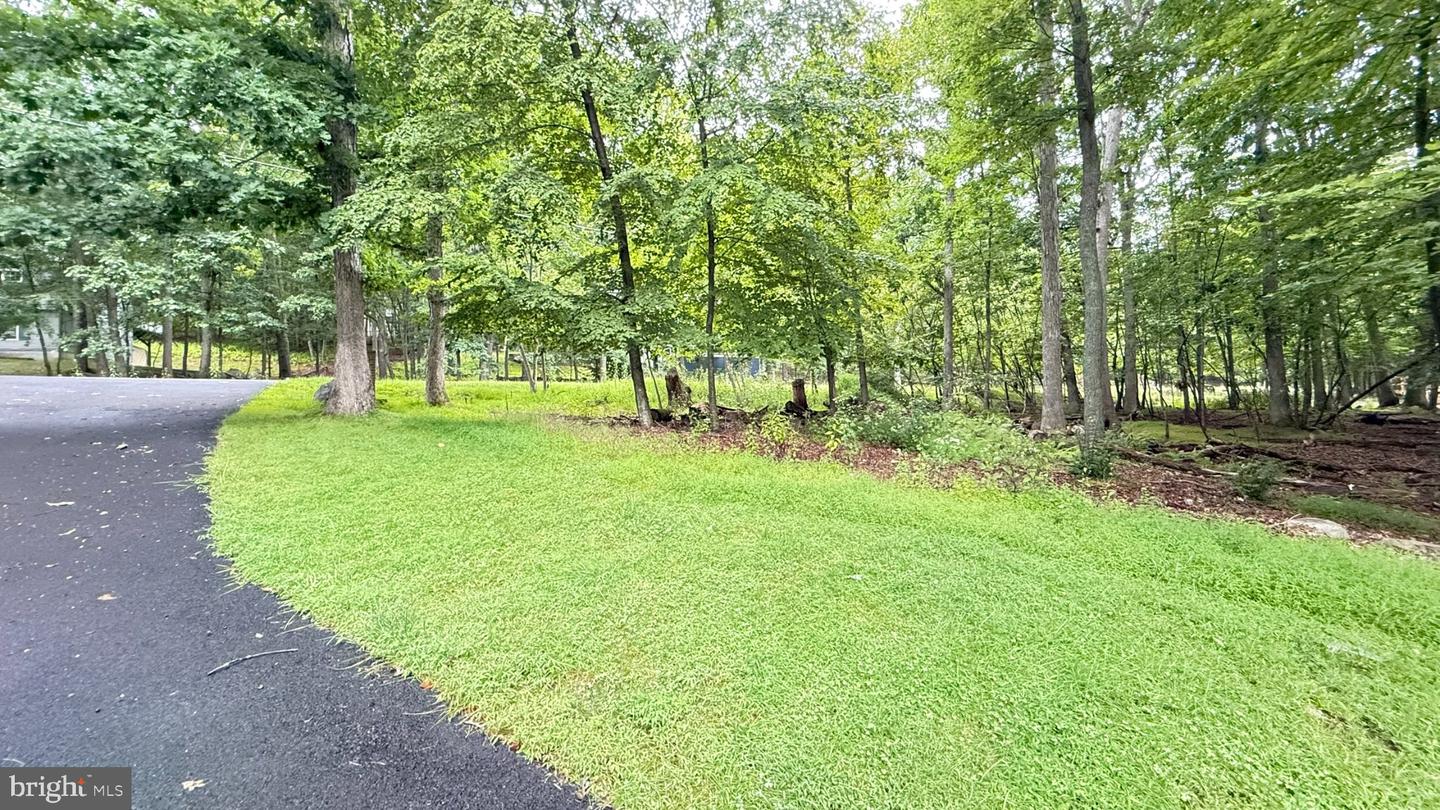 193 St Andrews Dr Property Photo 9