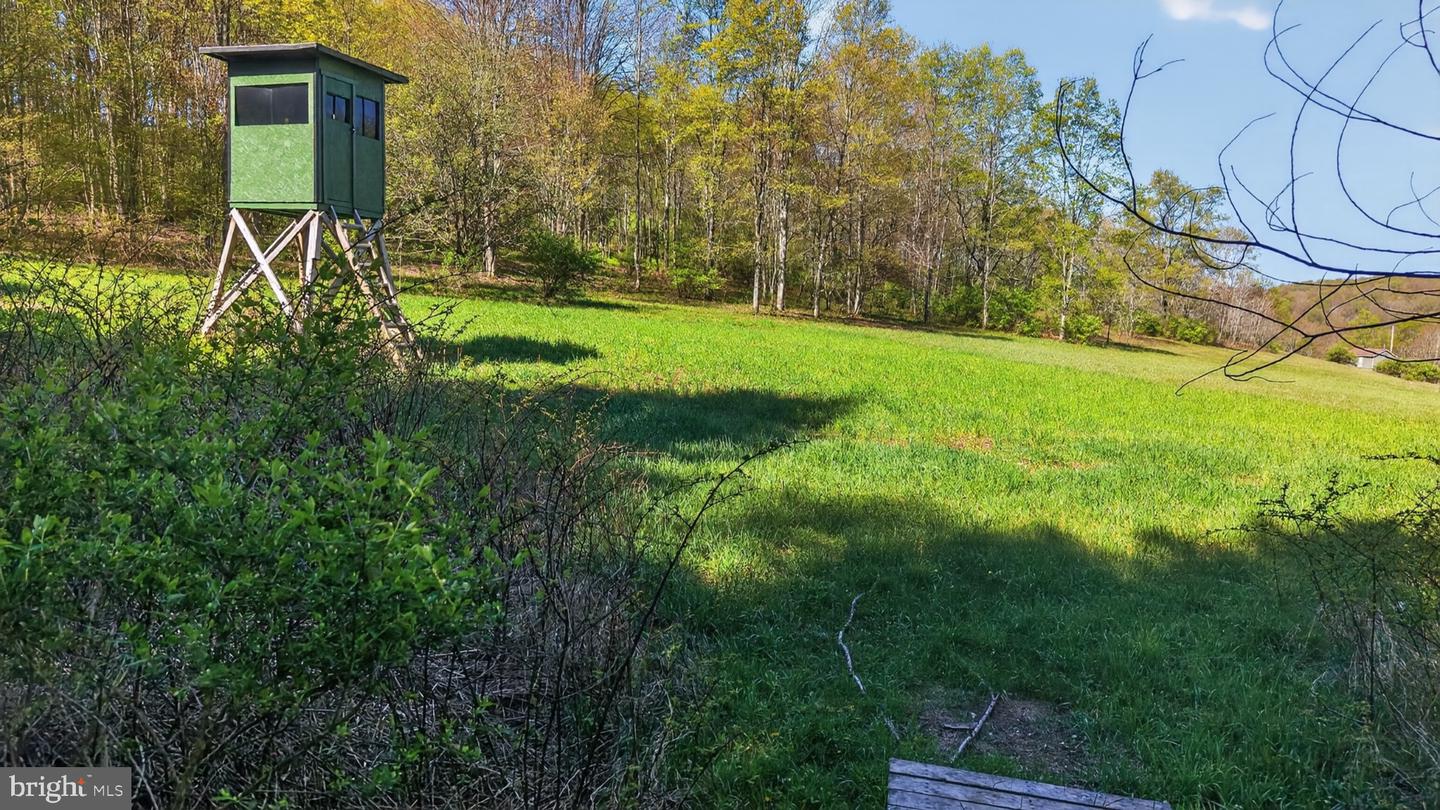 259 A Frame Rd Property Photo 100