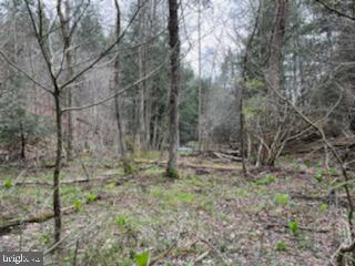 108 Dark Hollow Rd Property Photo