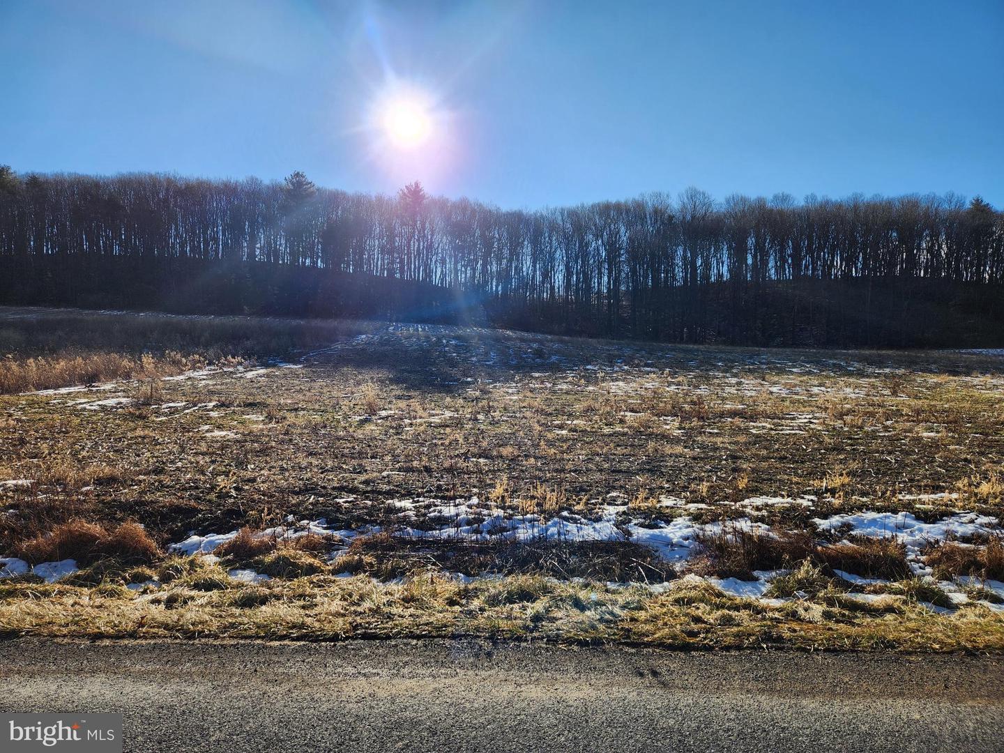 0 Kline Hollow Rd Lot 16 Property Photo 1