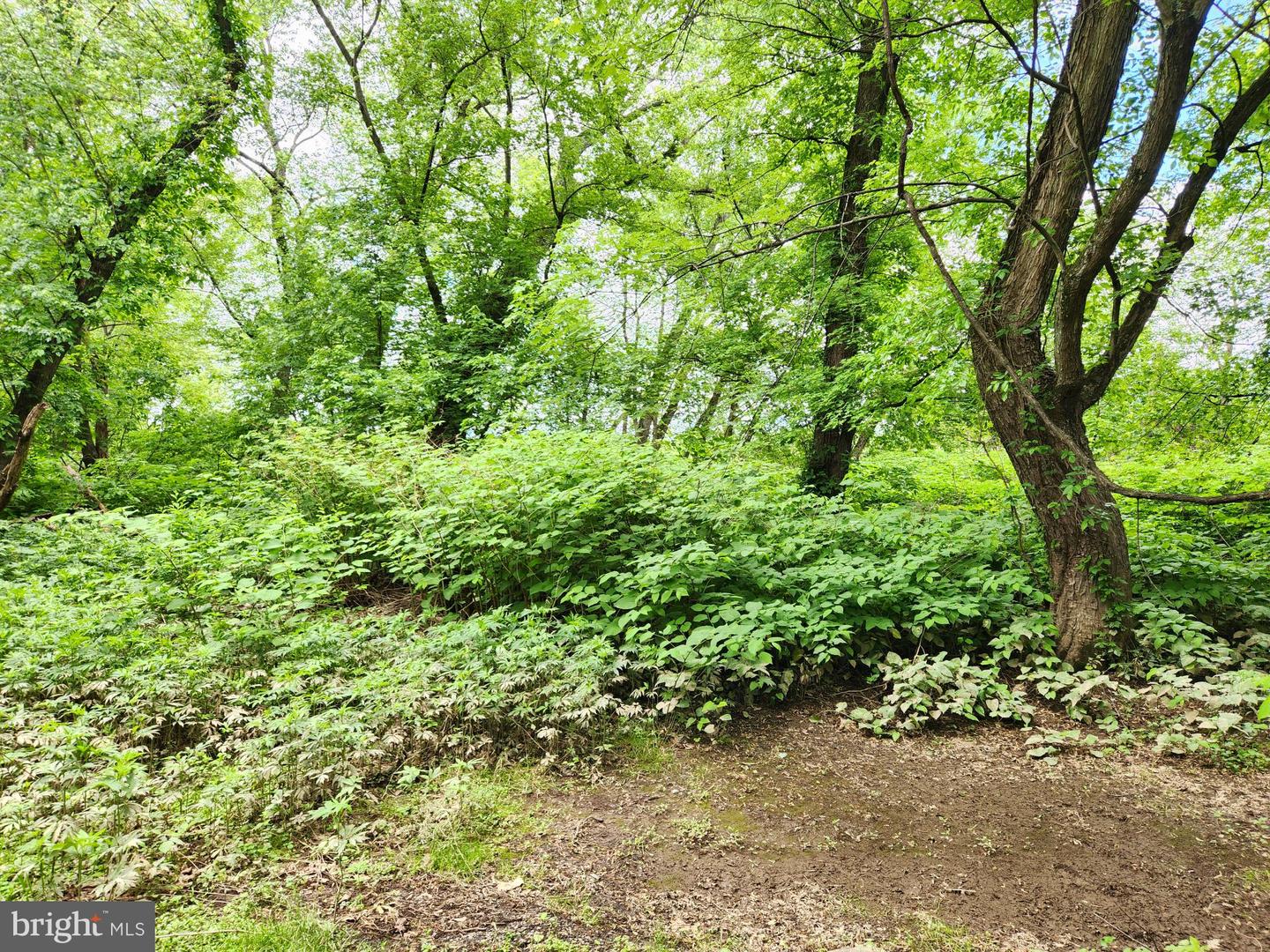 Route 00015 Property Photo 3