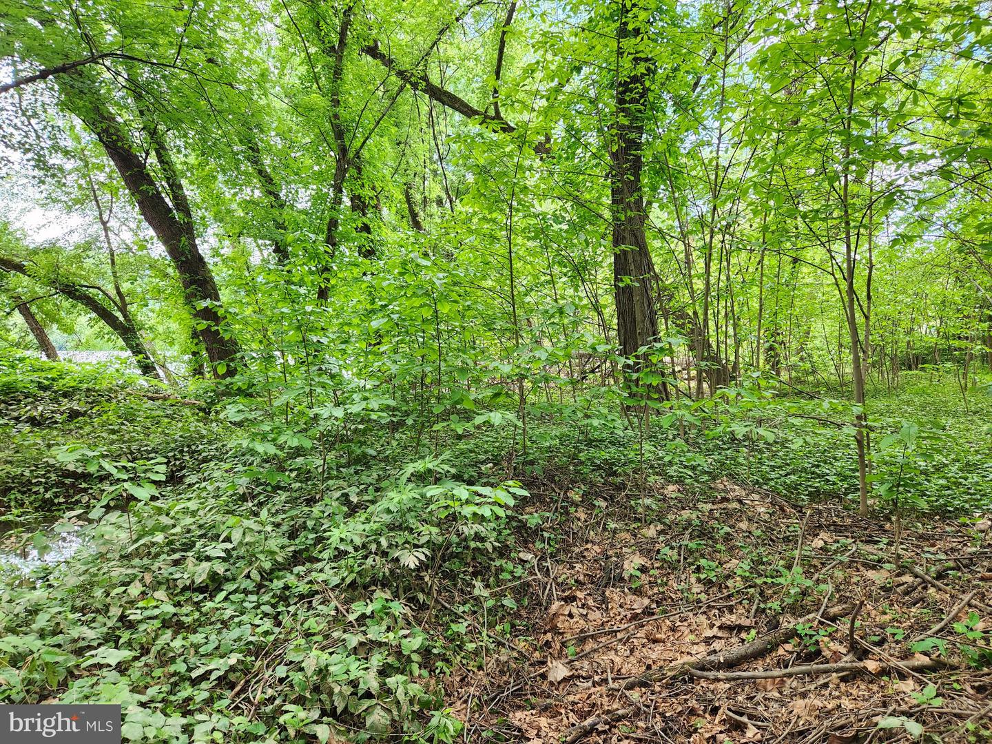 Route 00015 Property Photo 7