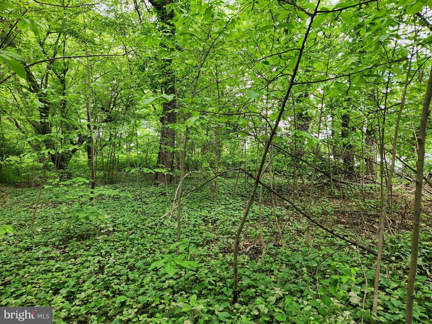 Route 00015 Property Photo 8