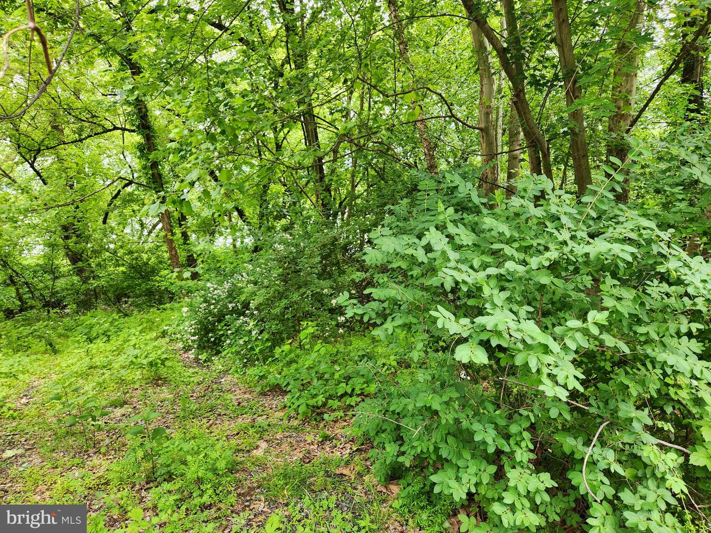 Route 00015 Property Photo 9