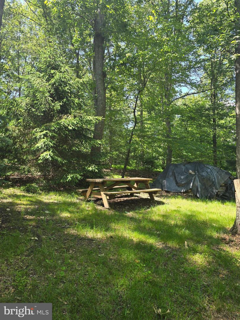 46 Shaub Dr Property Photo 8