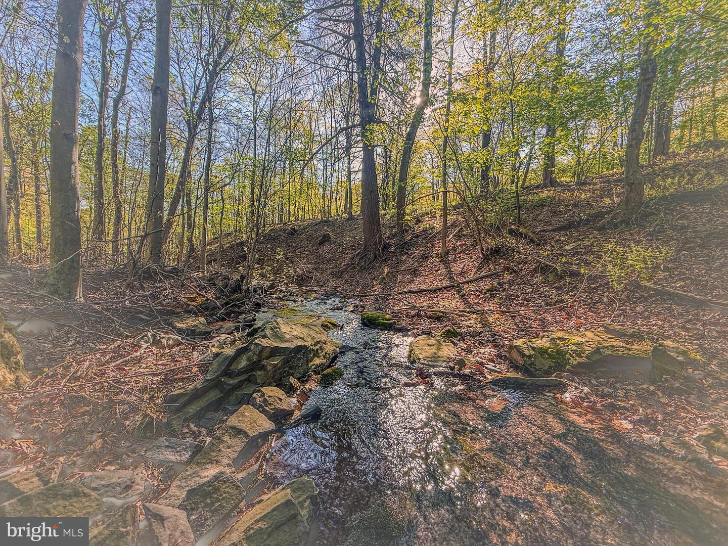 0-lot #1 Cornman Ln Property Photo 1