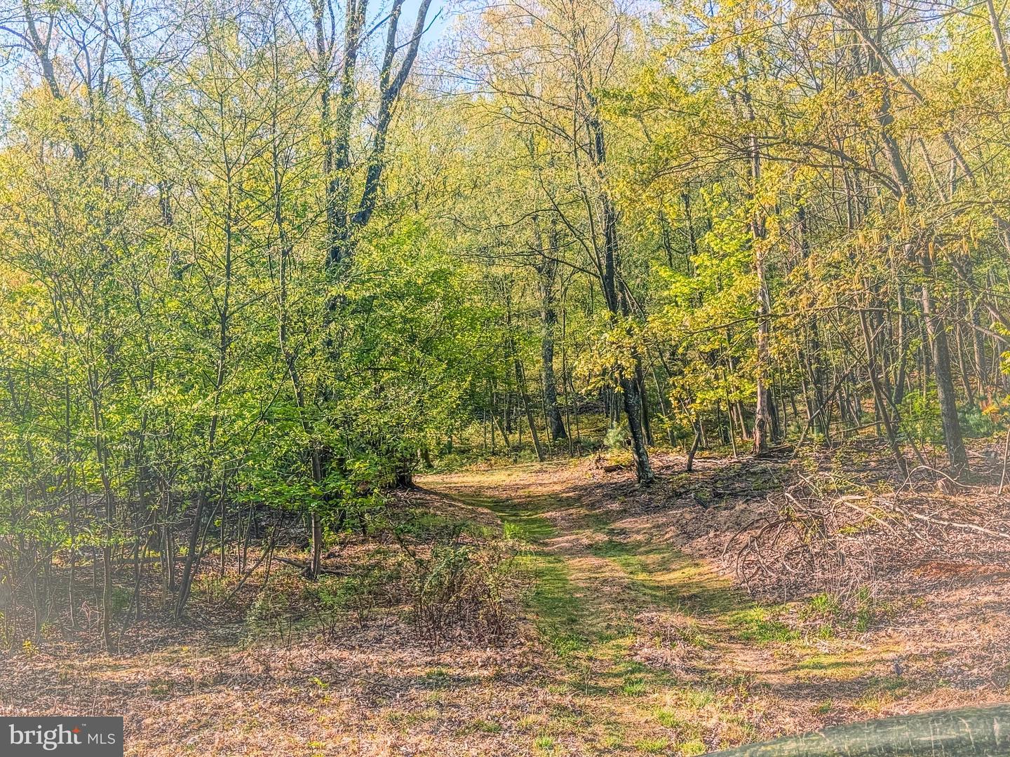 0-lot #2 Cornman Ln Property Photo 1