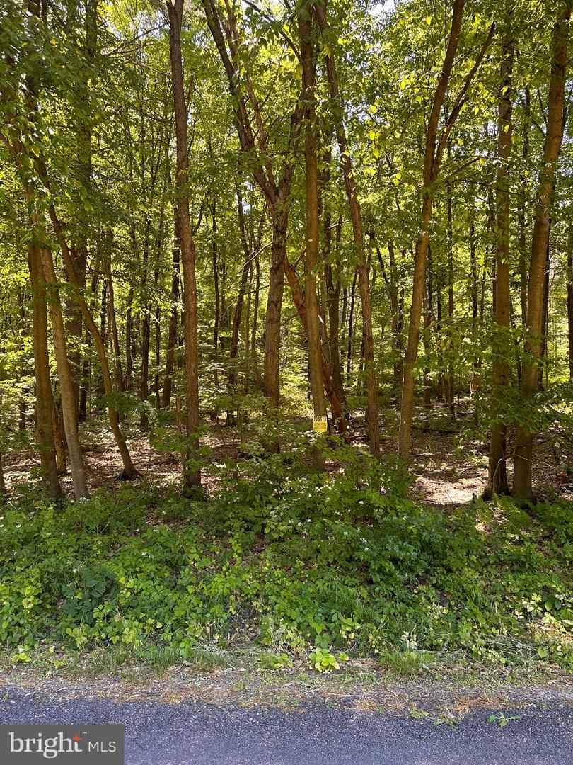 0 Kline Hollow Rd Property Photo 1