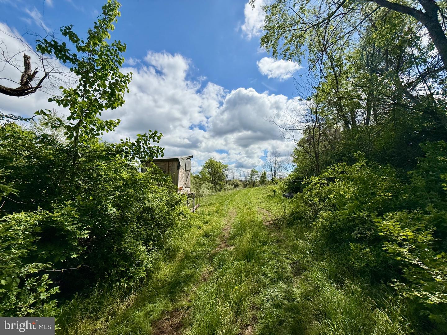 0 Creek Rd Property Photo 4