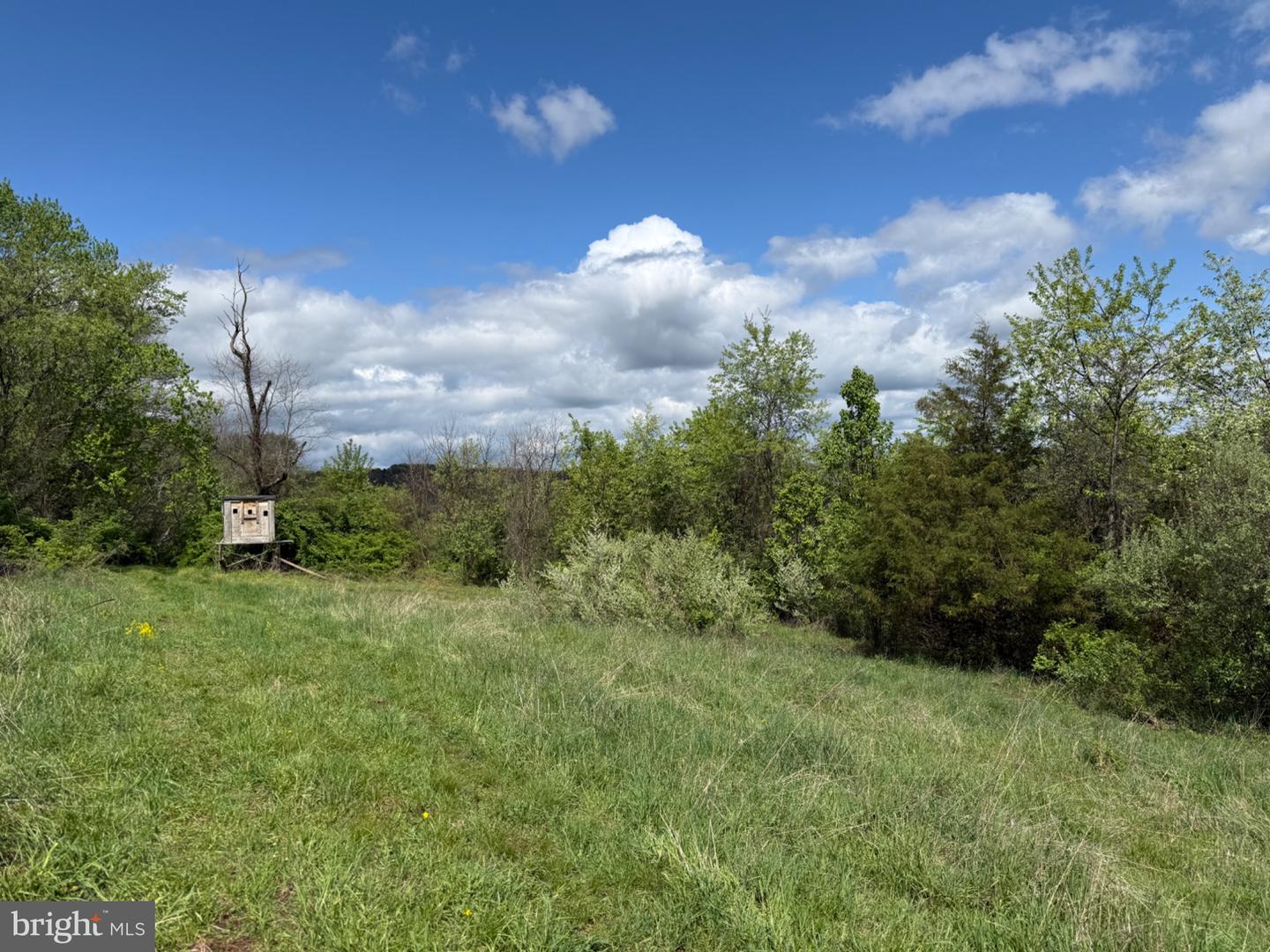 0 Creek Rd Property Photo 5