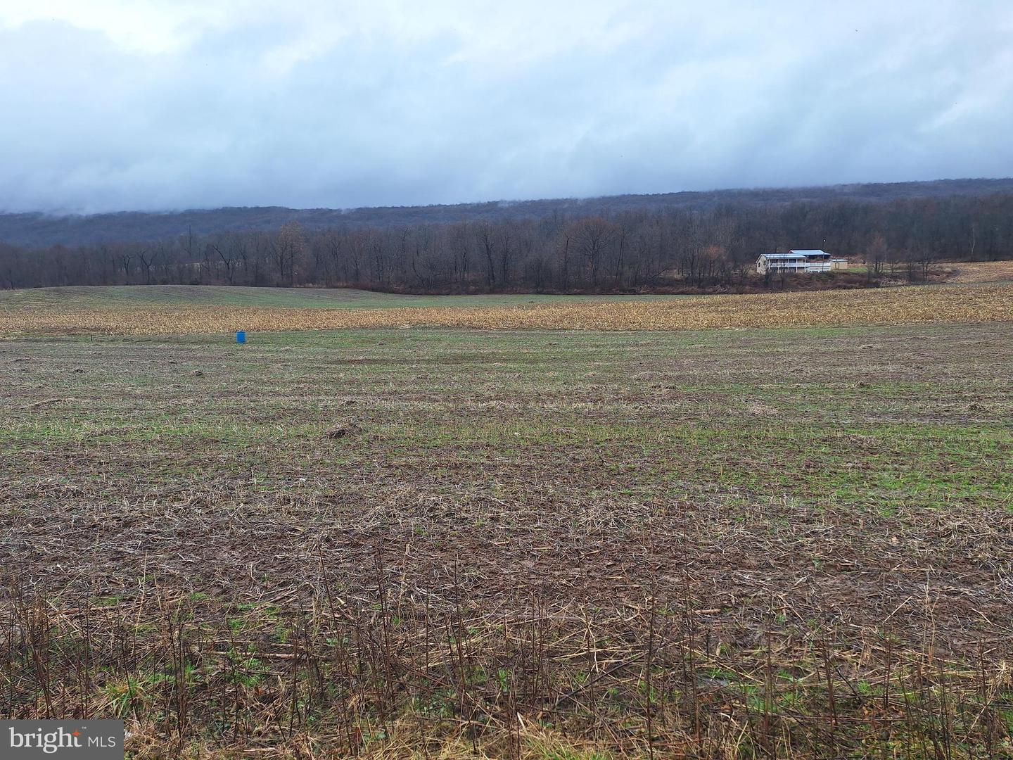5172 Raccoon Valley Rd Property Photo 3