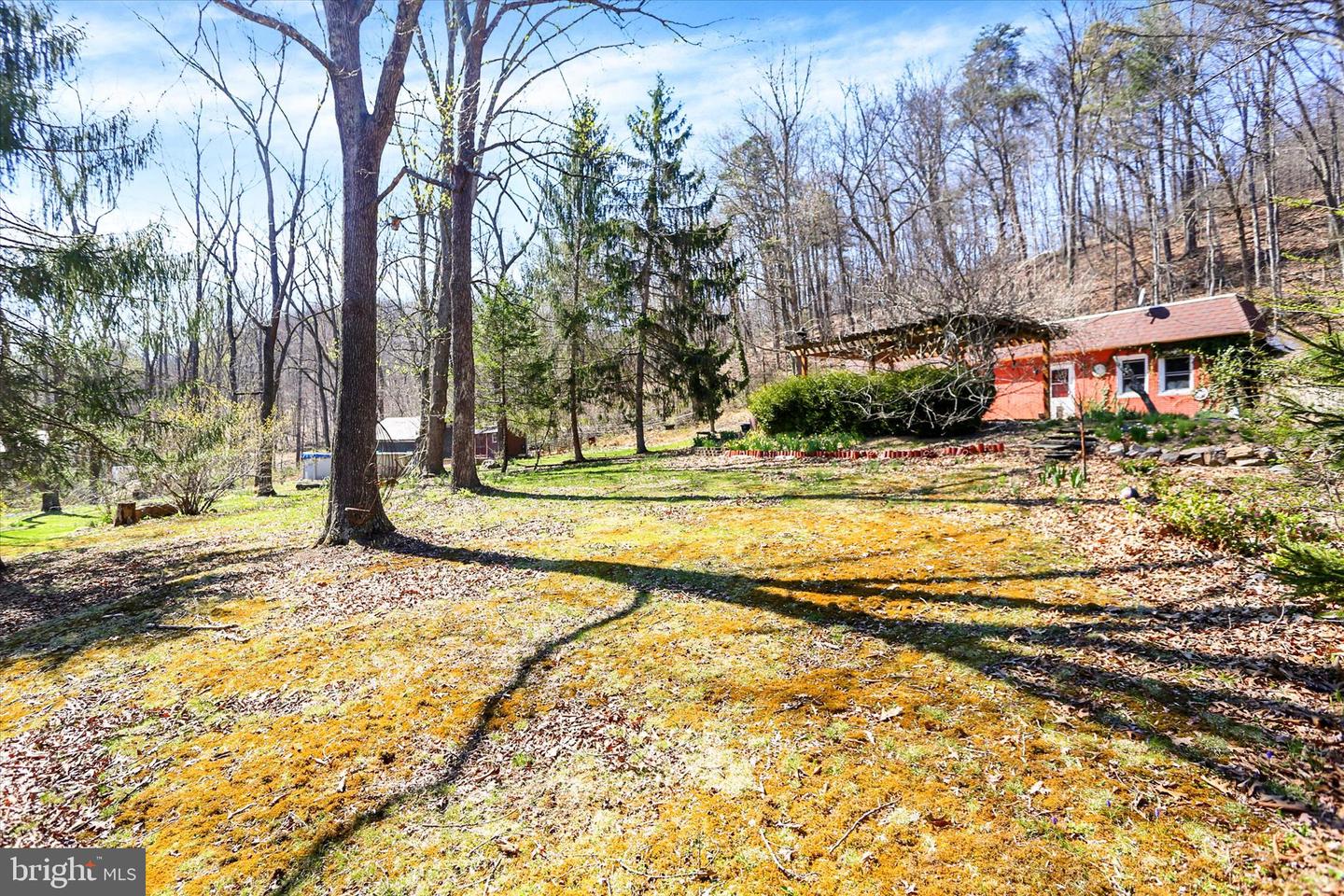 98 Fallen Cabin Ln Property Photo 4