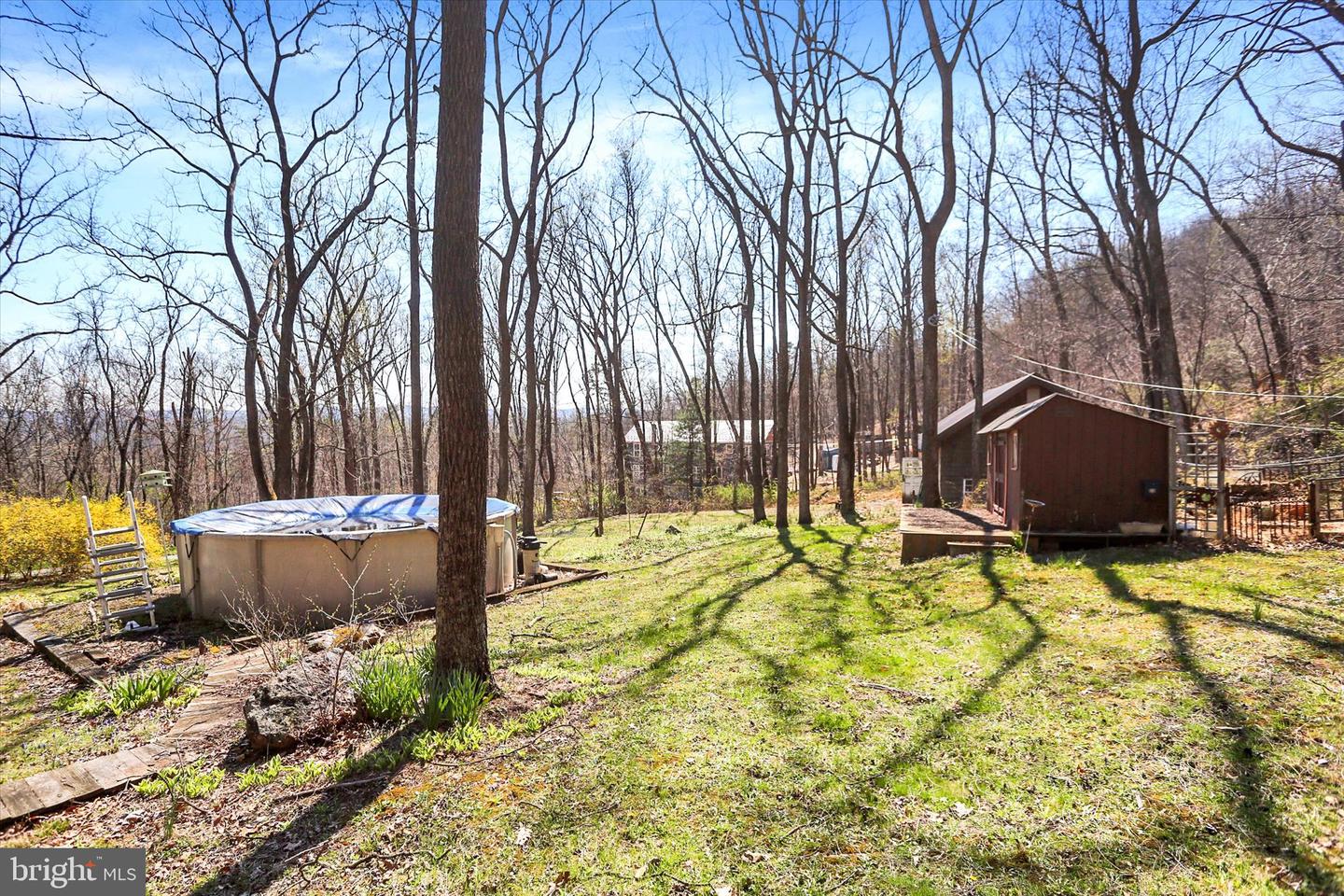 98 Fallen Cabin Ln Property Photo 24