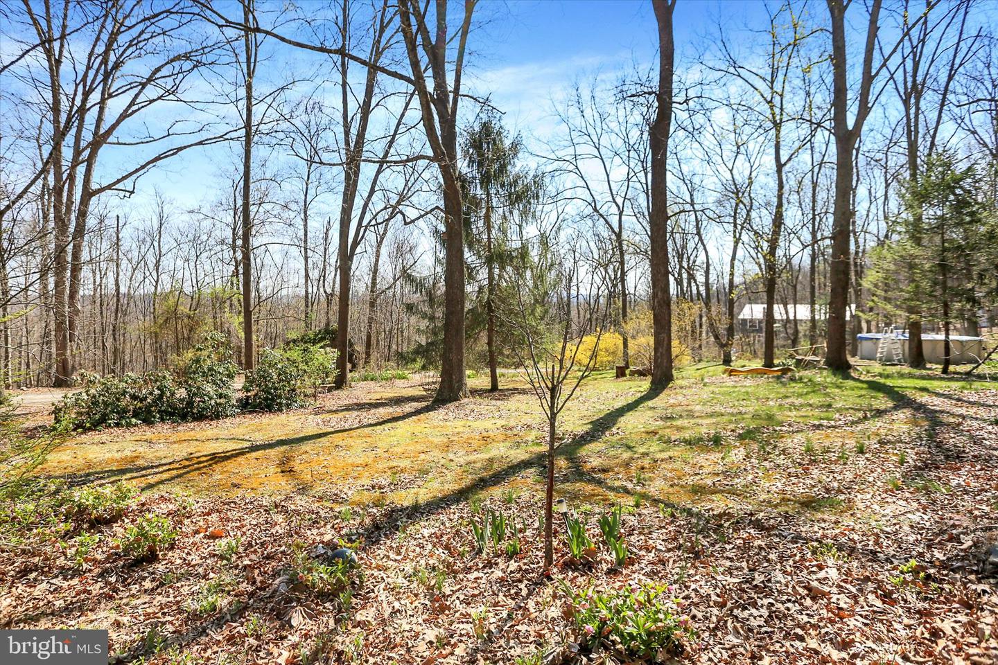 98 Fallen Cabin Ln Property Photo 26