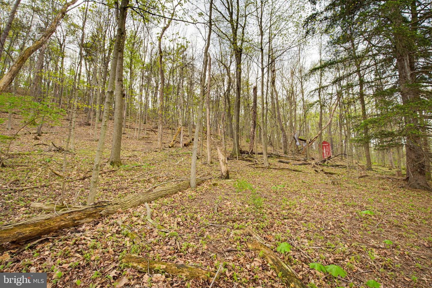 149 Cabin Ln Property Photo 16