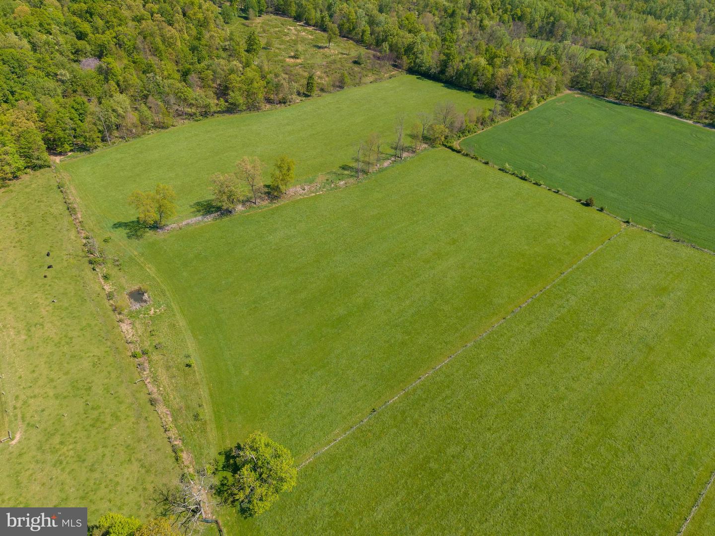 215 Droneberger Rd Property Photo 11