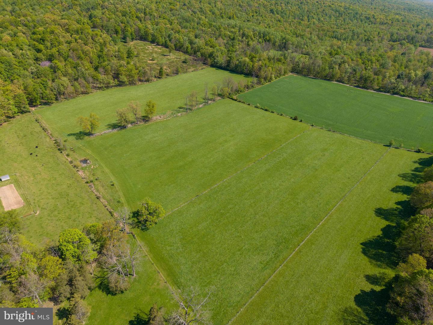 215 Droneberger Rd Property Photo 12