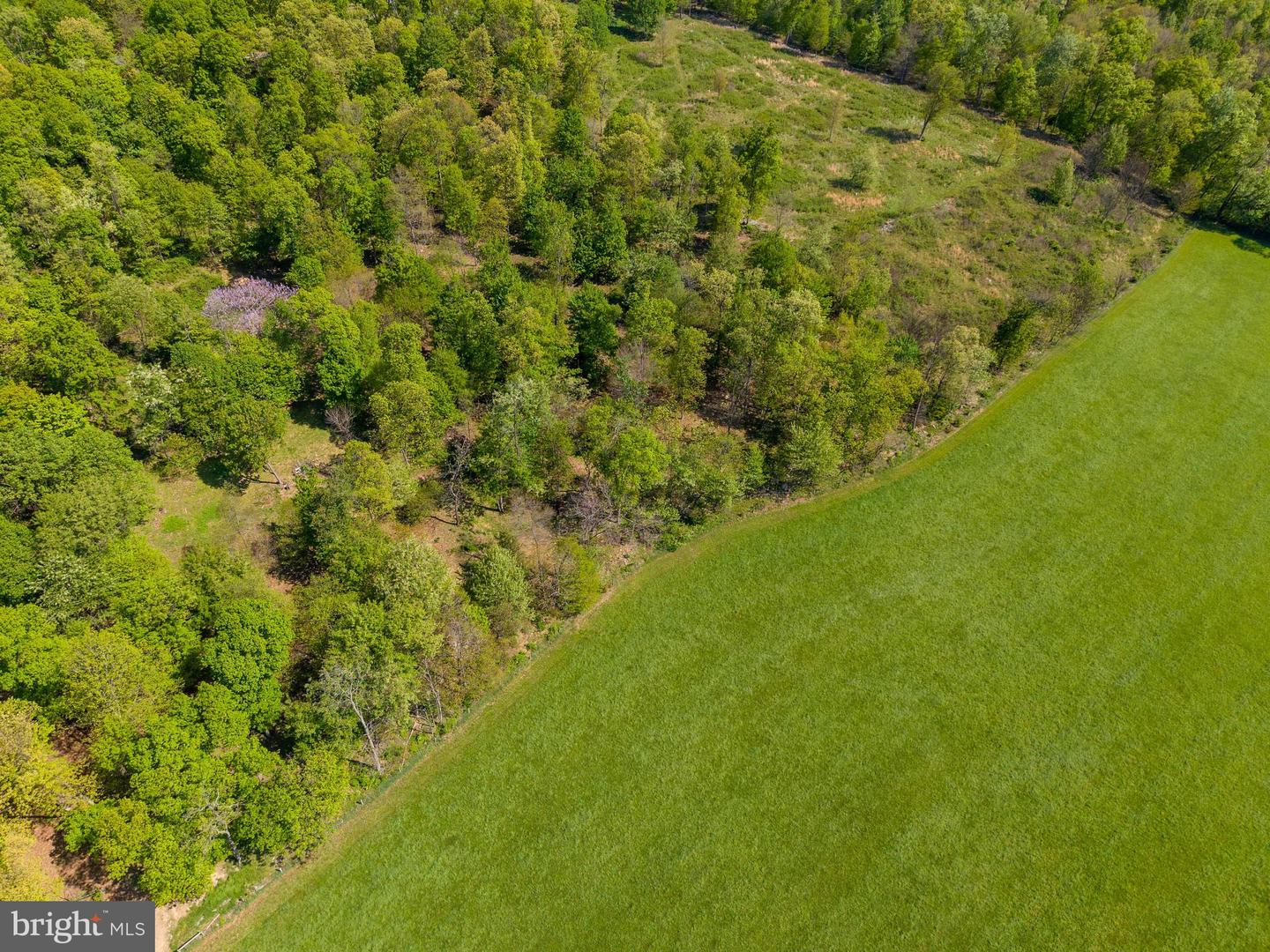 215 Droneberger Rd Property Photo 13