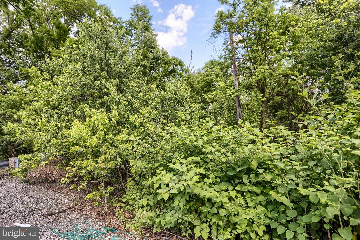 Susquehanna Trl Property Photo 15