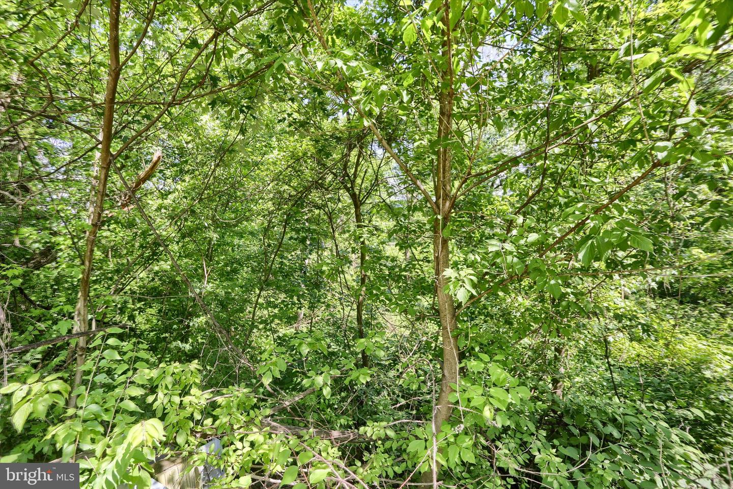 Susquehanna Trl Property Photo 16