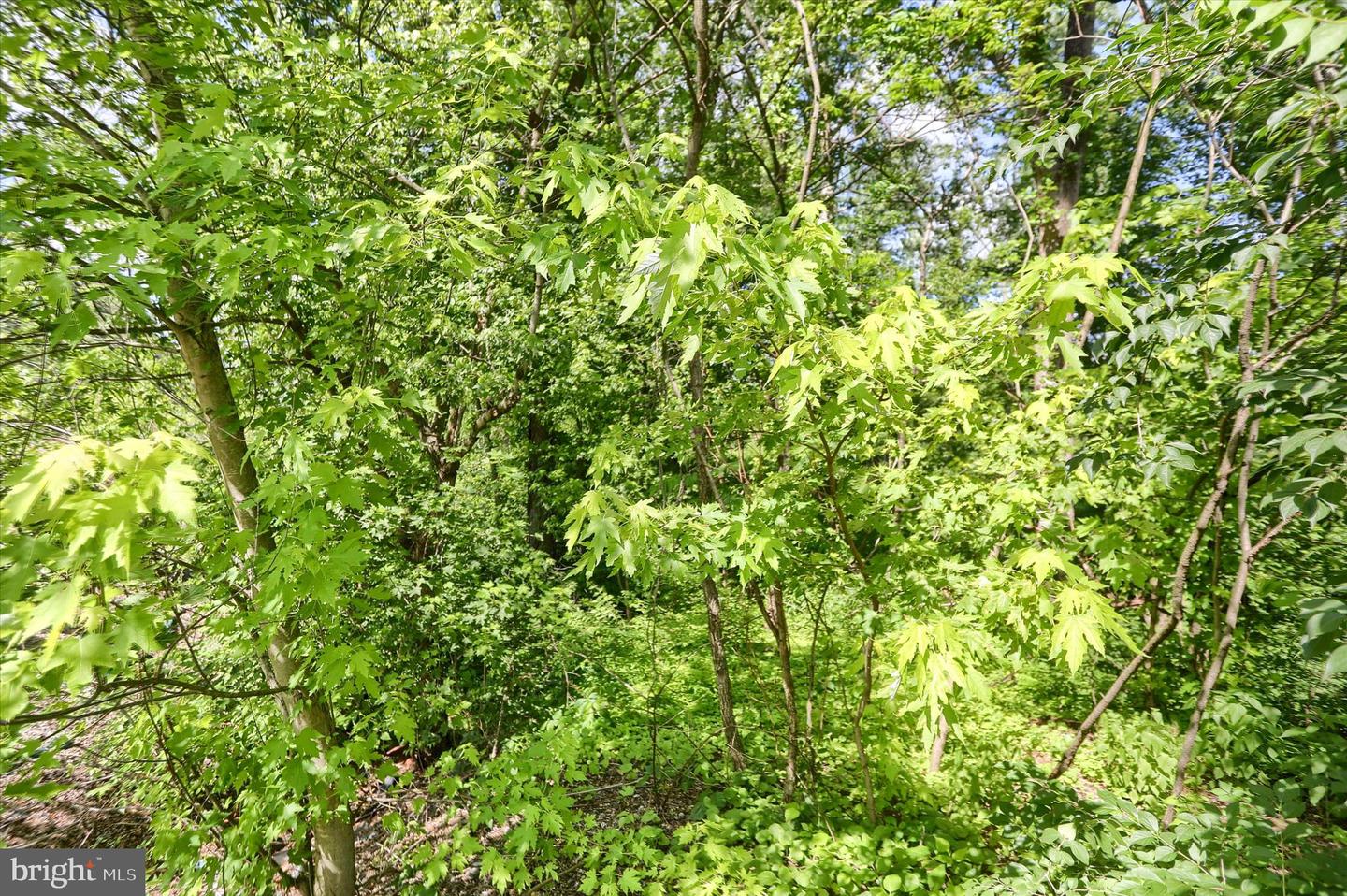 Susquehanna Trl Property Photo 17