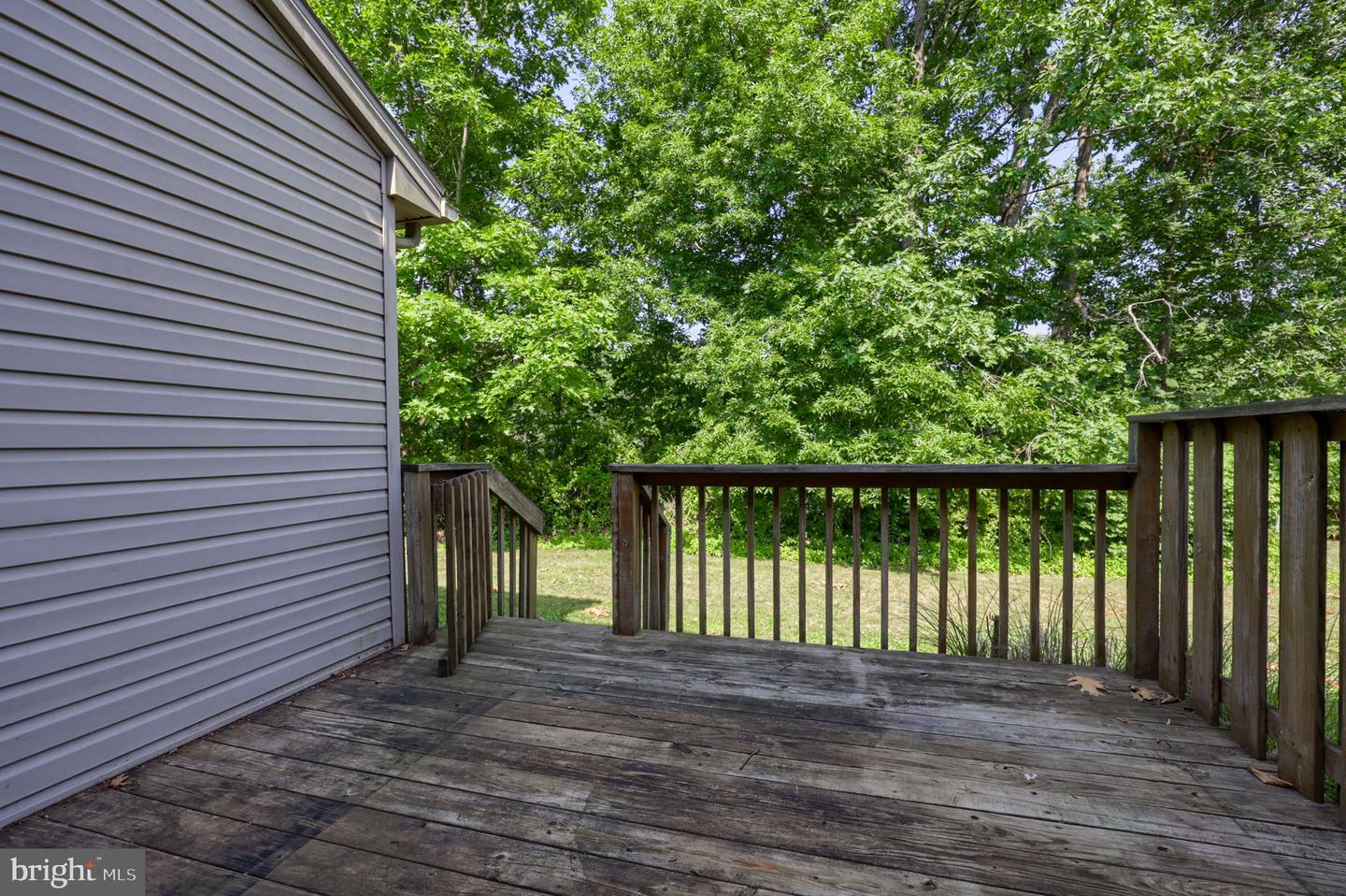 232 Whitetail Ter Property Photo 37