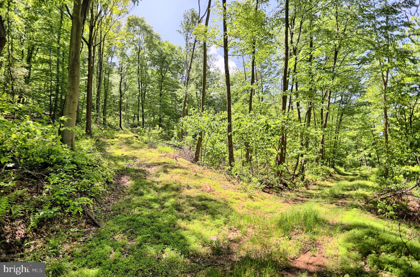 4909 Raccoon Valley Rd Rd Property Photo 6