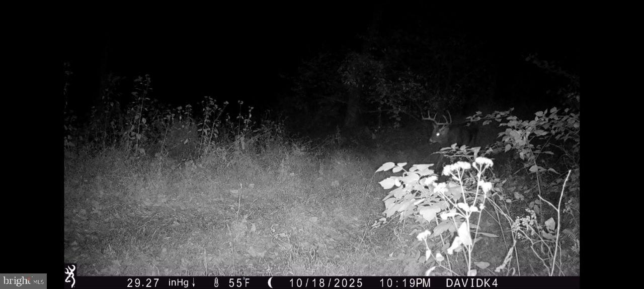 4909 Raccoon Valley Rd Rd Property Photo 41