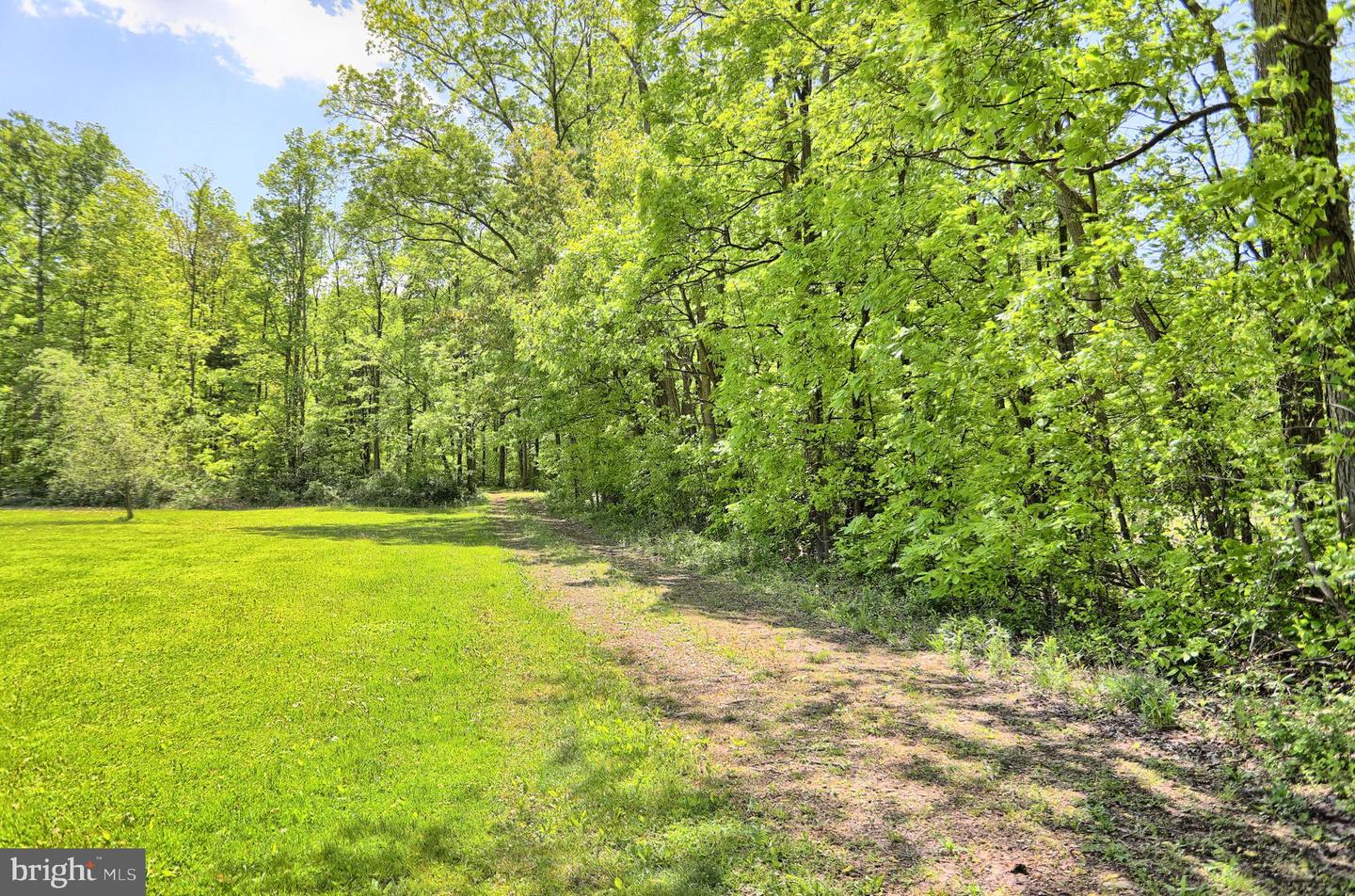 4909 Raccoon Valley Rd Rd Property Photo 52