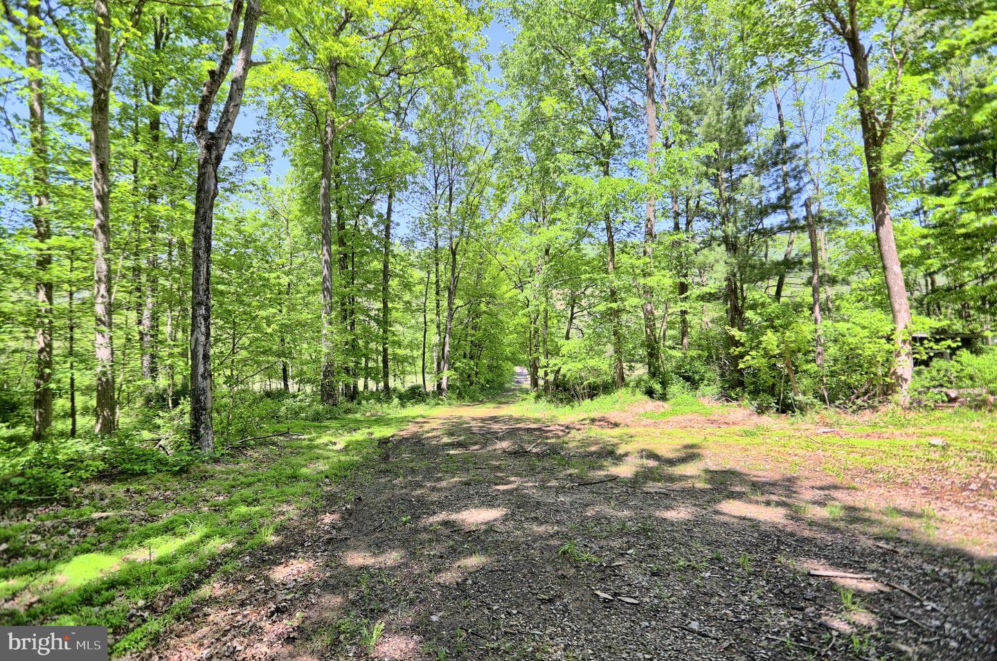 4909 Raccoon Valley Rd Rd Property Photo 53
