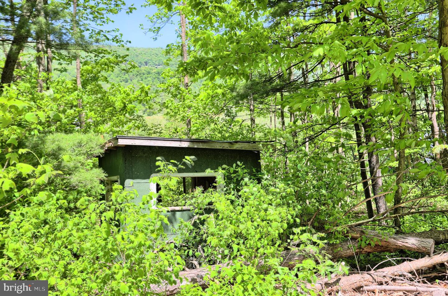 4909 Raccoon Valley Rd Rd Property Photo 54