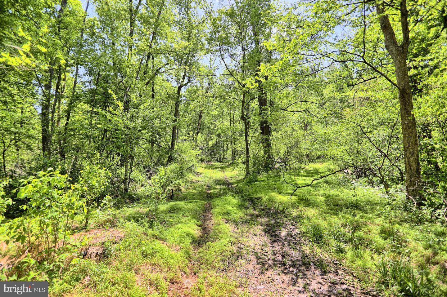 4909 Raccoon Valley Rd Rd Property Photo 55