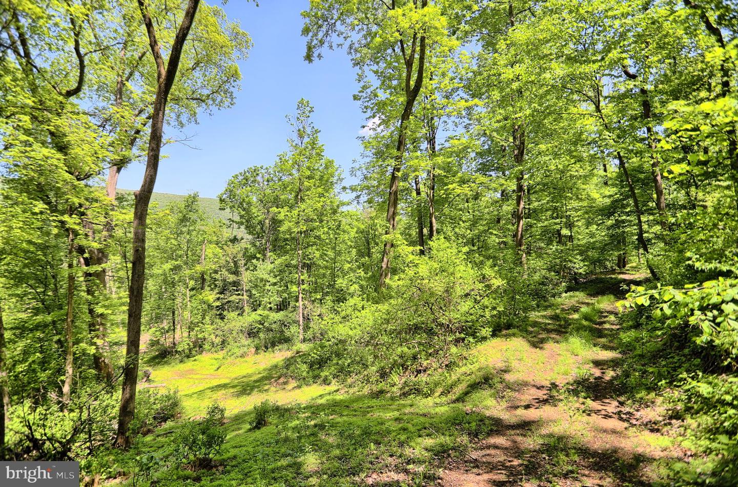 4909 Raccoon Valley Rd Rd Property Photo 56
