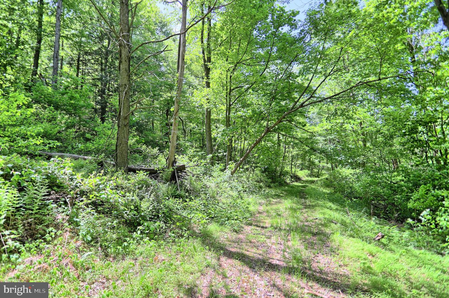 4909 Raccoon Valley Rd Rd Property Photo 57