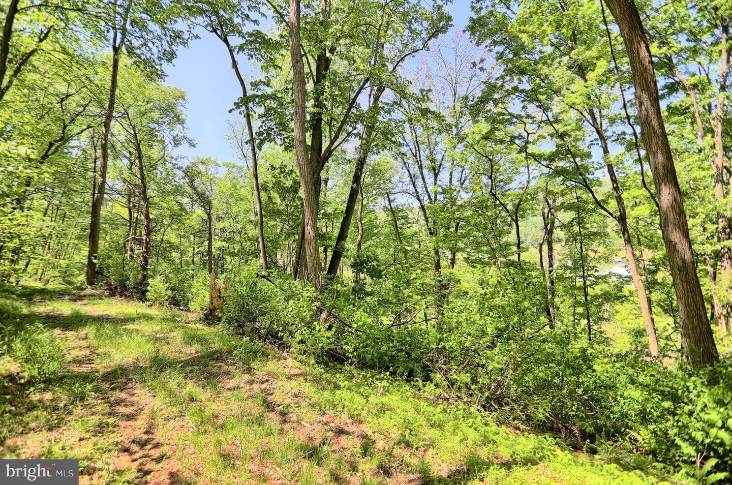 4909 Raccoon Valley Rd Rd Property Photo 58
