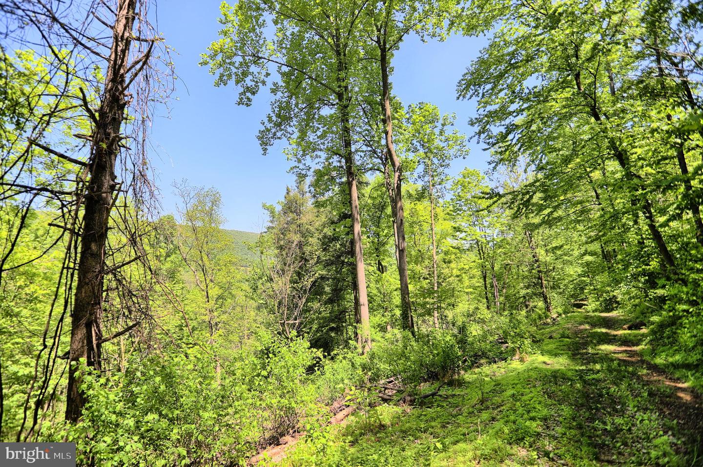 4909 Raccoon Valley Rd Rd Property Photo 60