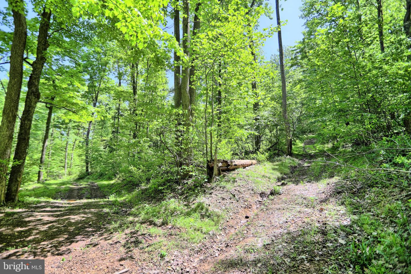 4909 Raccoon Valley Rd Rd Property Photo 61