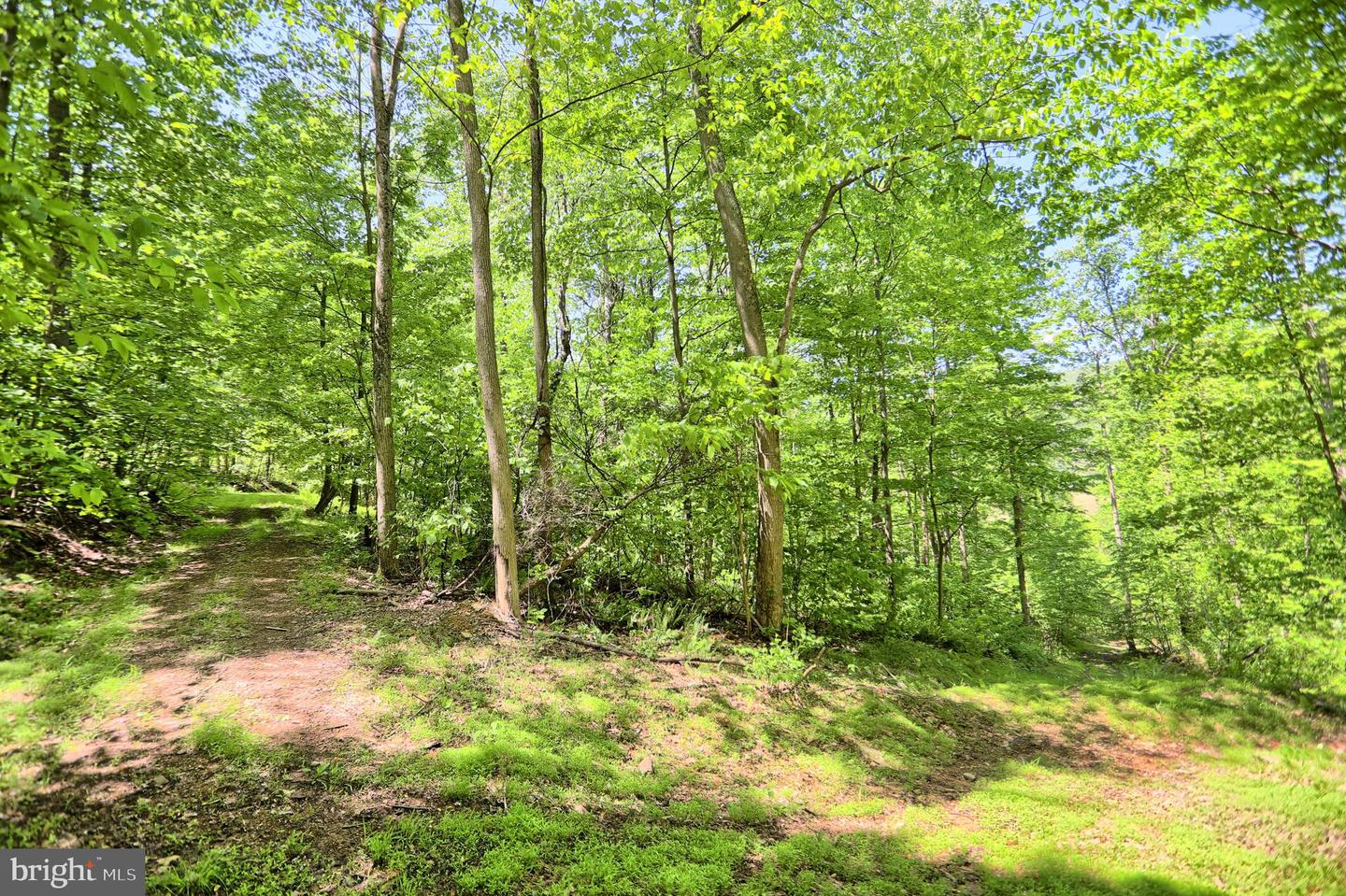 4909 Raccoon Valley Rd Rd Property Photo 62