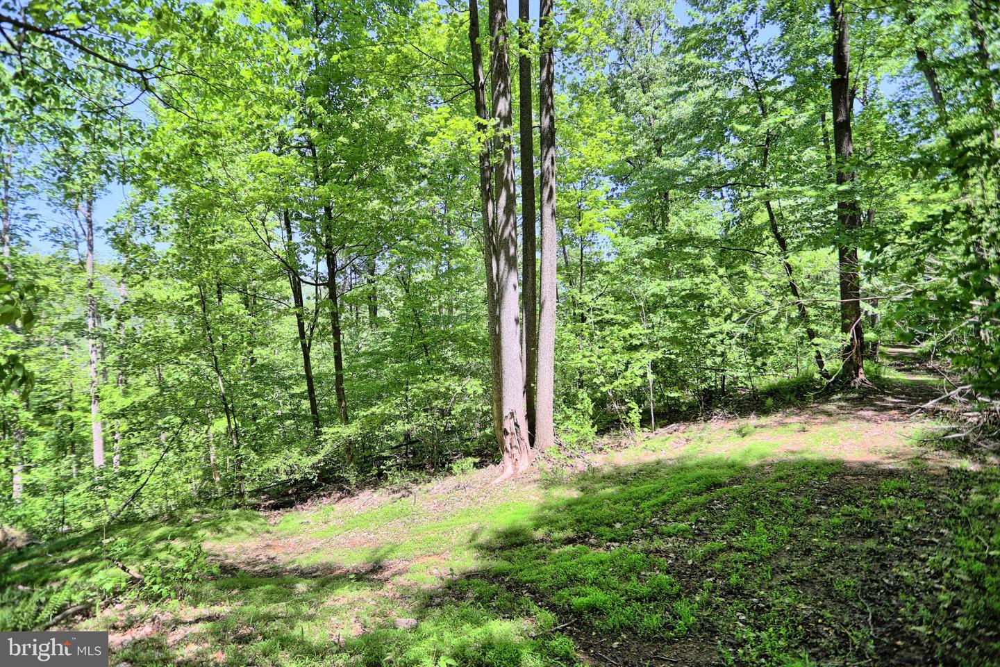 4909 Raccoon Valley Rd Rd Property Photo 63