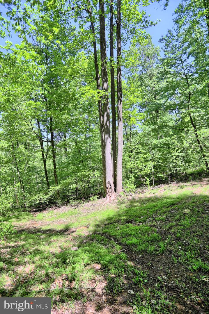 4909 Raccoon Valley Rd Rd Property Photo 64