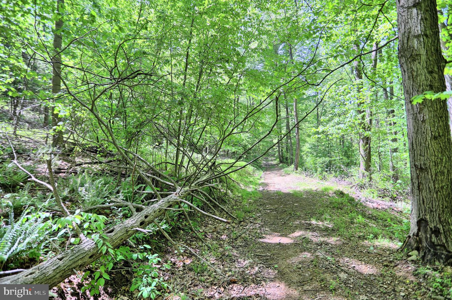 4909 Raccoon Valley Rd Rd Property Photo 65