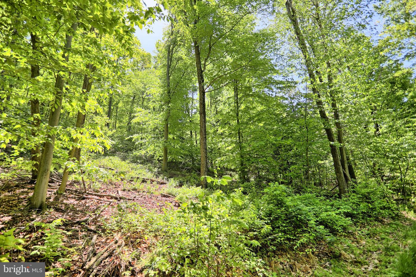 4909 Raccoon Valley Rd Rd Property Photo 66