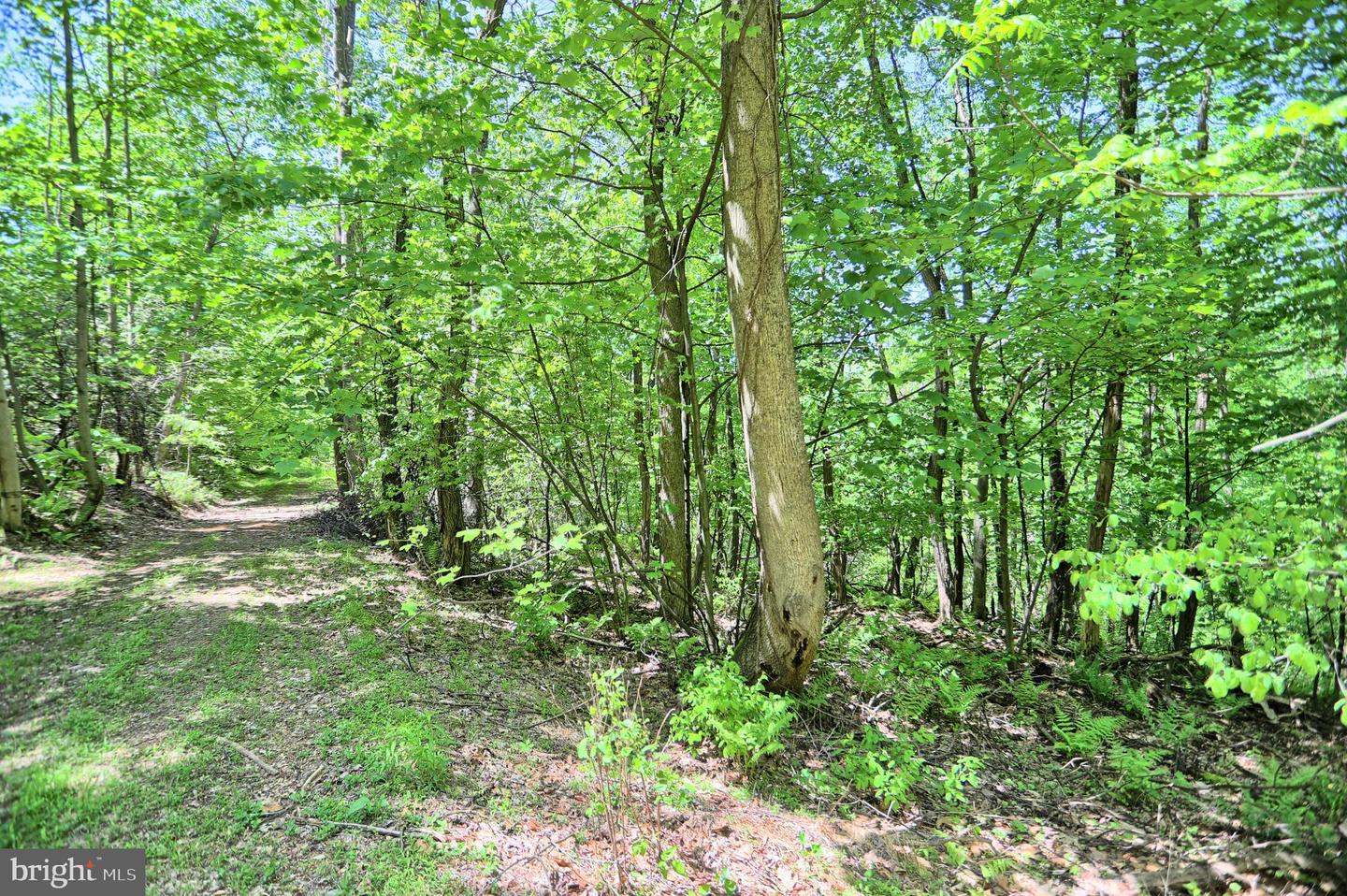 4909 Raccoon Valley Rd Rd Property Photo 67