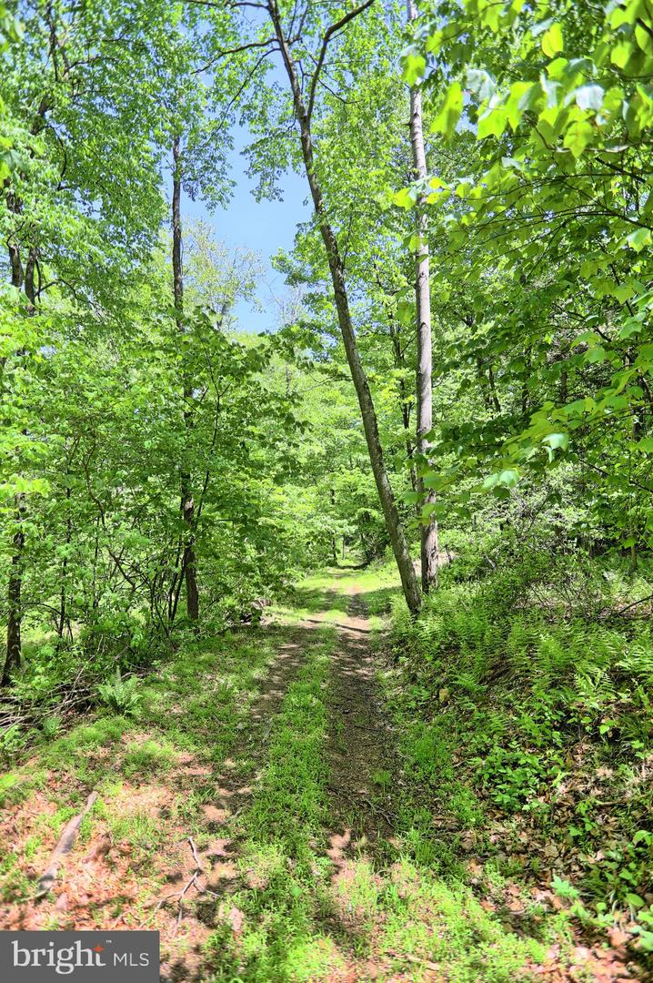 4909 Raccoon Valley Rd Rd Property Photo 68