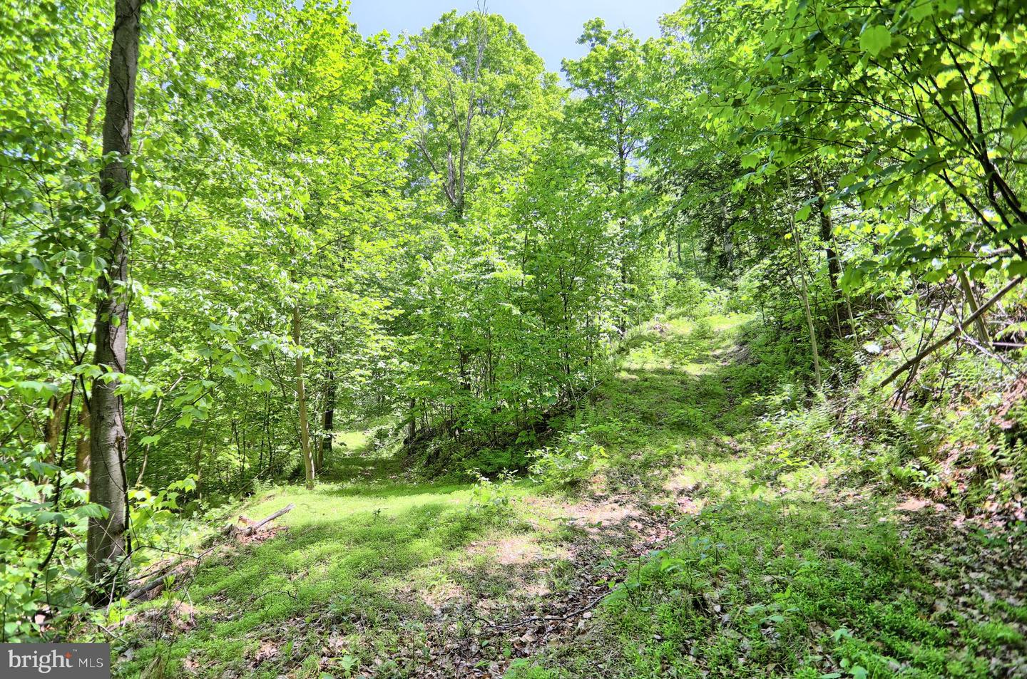 4909 Raccoon Valley Rd Rd Property Photo 69