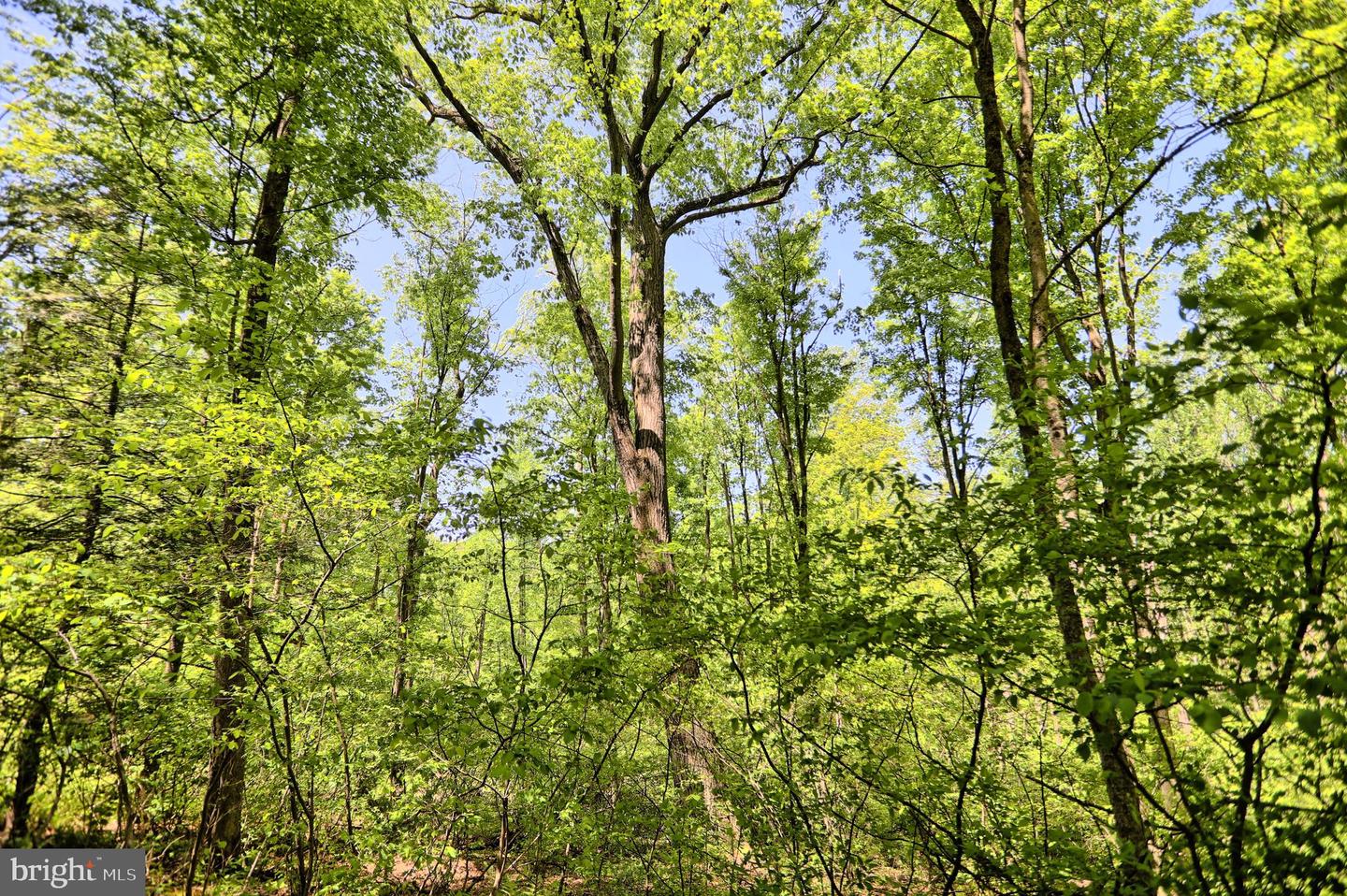 4909 Raccoon Valley Rd Rd Property Photo 71