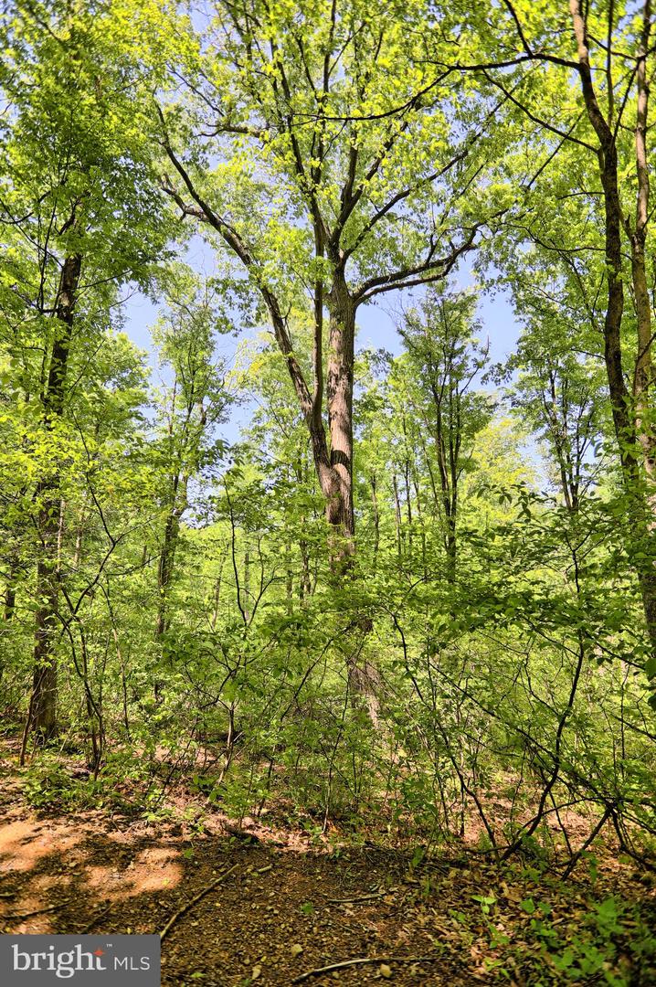 4909 Raccoon Valley Rd Rd Property Photo 72