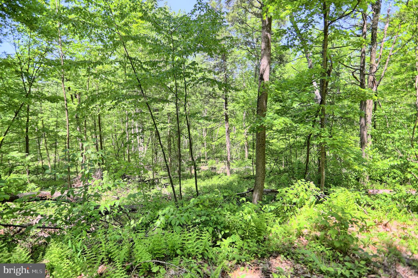 4909 Raccoon Valley Rd Rd Property Photo 73