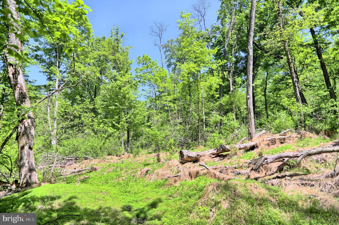 4909 Raccoon Valley Rd Rd Property Photo 74